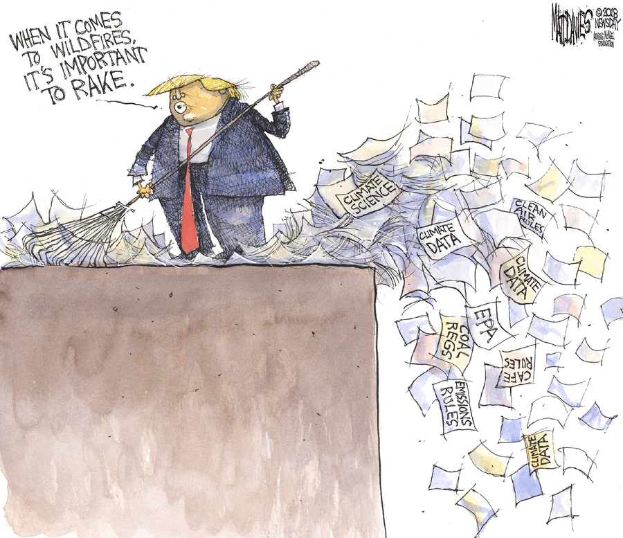 Matt Davies Comic Strip for November 20, 2018 