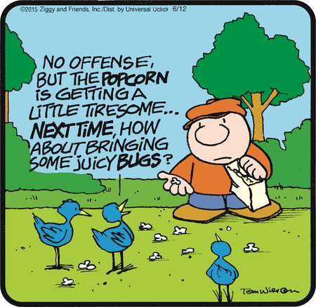Ziggy Comic Strip for June 12, 2015 
