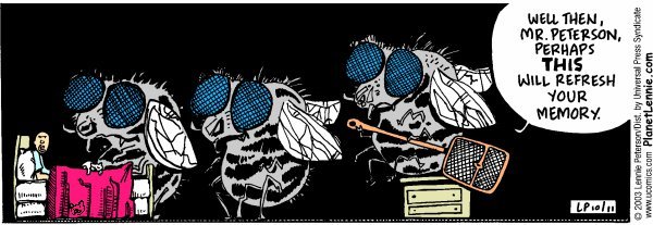 The Big Picture Comic Strip for February 13, 2025 