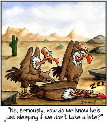 Birdbrains Comic Strip for May 22, 2024 