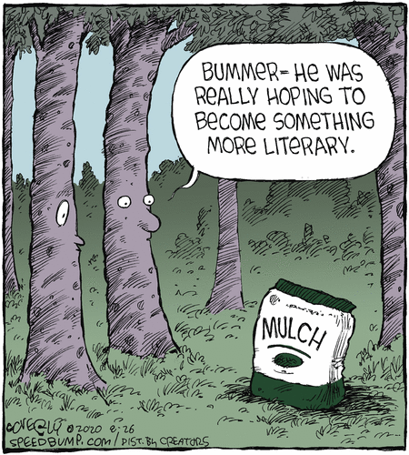 Speed Bump Comic Strip for August 26, 2020 