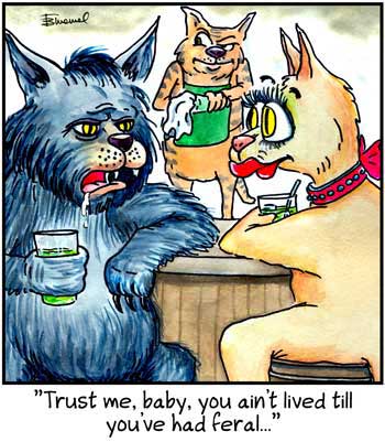 Birdbrains Comic Strip for May 26, 2024 