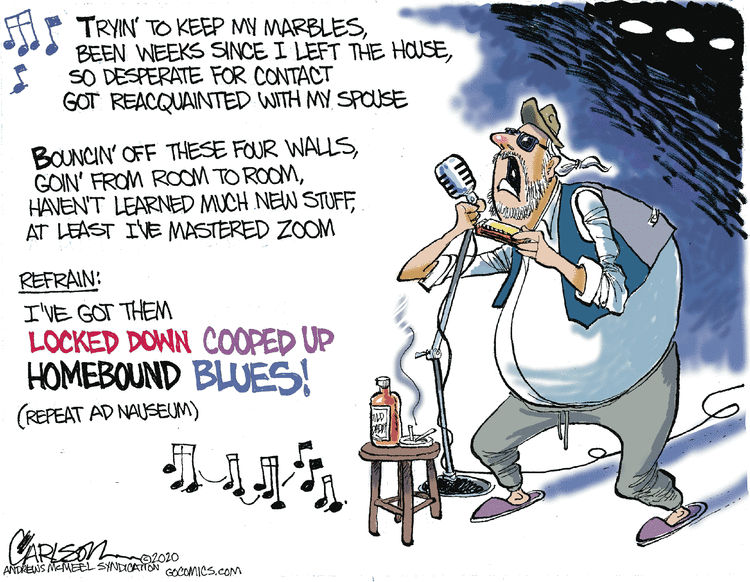 Stuart Carlson Comic Strip for August 03, 2020 