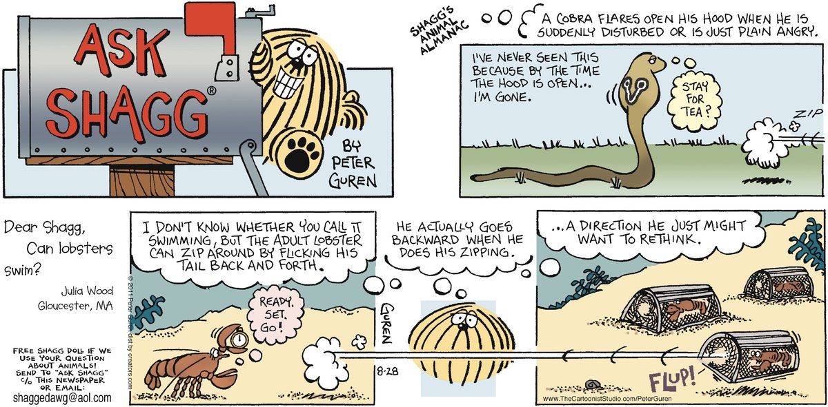 Ask Shagg Comic Strip for February 09, 2025 