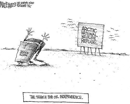 Matt Davies Comic Strip for March 15, 2005 