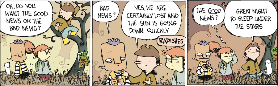 Wallace the Brave Comic Strip for November 18, 2020 