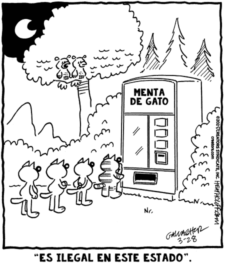 Heathcliff en Español by Peter Gallagher and George Gately on Fri, 28 Mar 2025