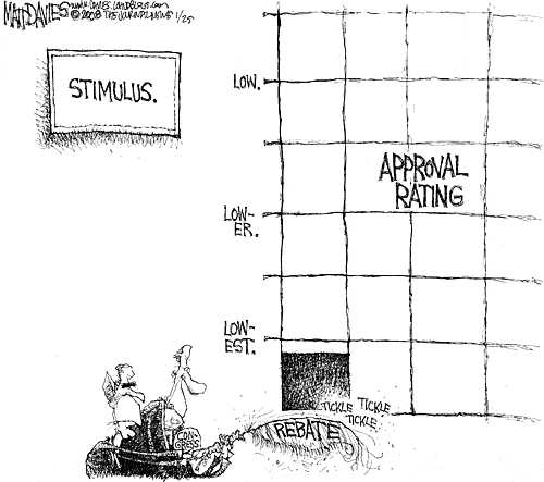 Matt Davies Comic Strip for January 25, 2008 