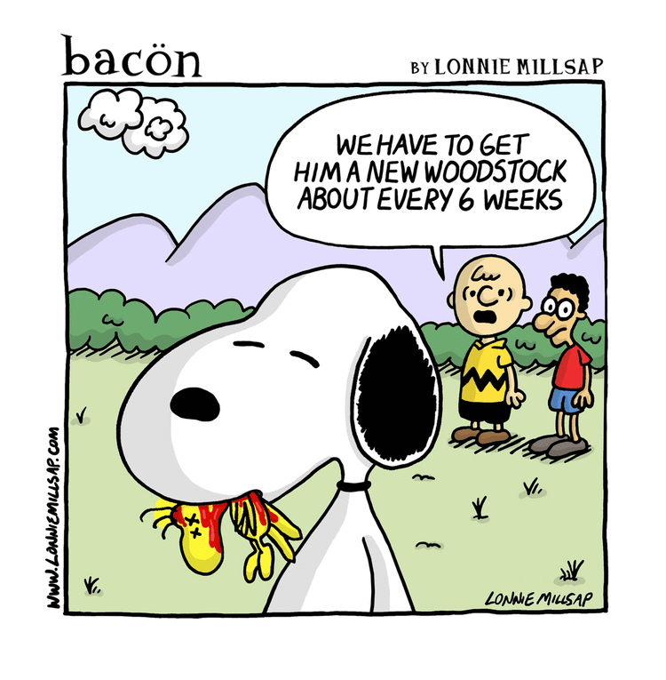 bacon Comic Strip for May 17, 2024 