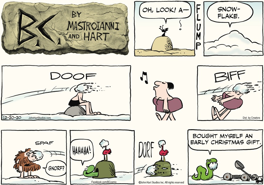 B.C. Comic Strip for December 20, 2020 