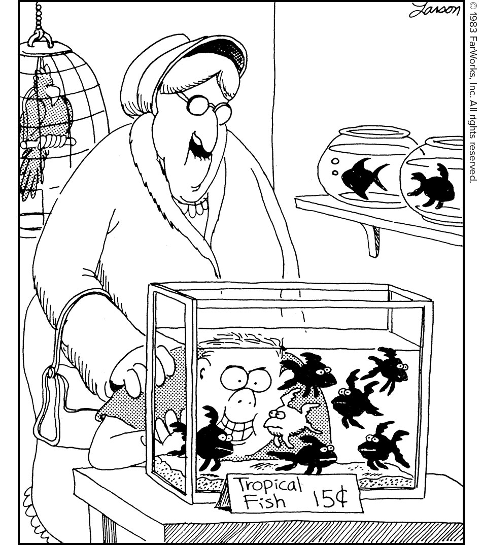 Tropical Fish 15 cents