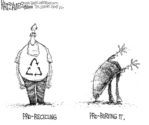 Matt Davies Comic Strip for January 28, 2008 