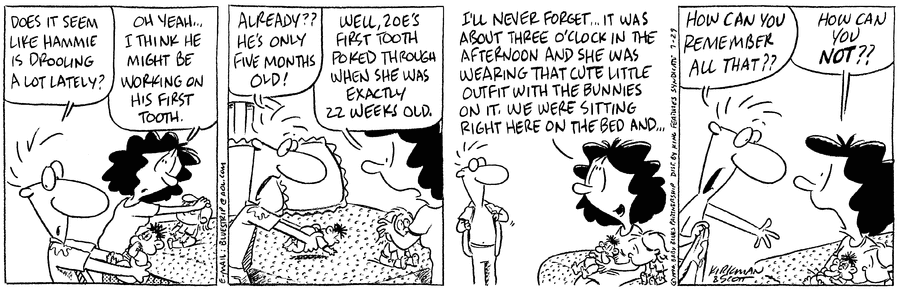 Baby Blues Comic Strip for July 29, 1996 