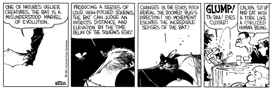 Calvin and Hobbes Comic Strip for August 07, 1987 