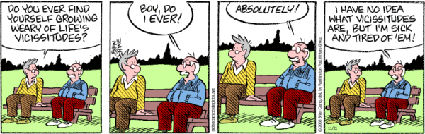 Pickles Comic Strip for November 21, 2008 