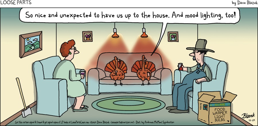 Loose Parts Comic Strip for November 24, 2024 
