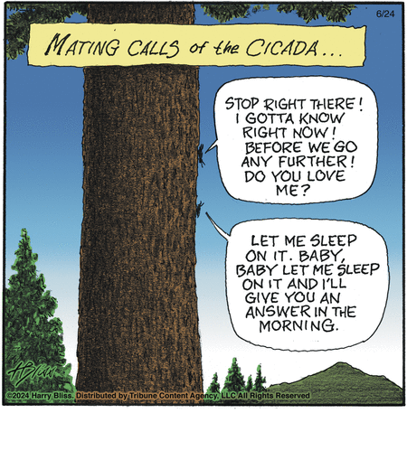Bliss Comic Strip for June 24, 2024 