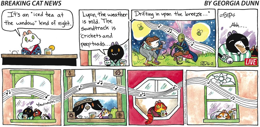 Breaking Cat News Comic Strip for June 02, 2024 