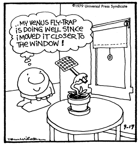 Ziggy Comic Strip for September 17, 1979 