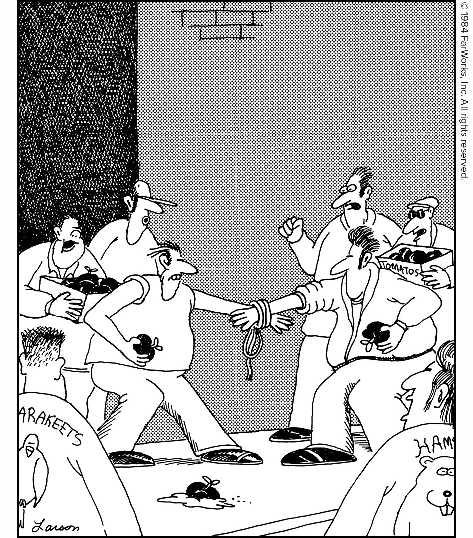 ARAKEETS / HAMS / TOMATOS