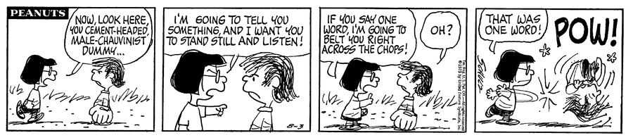 Peanuts Comic Strip for August 03, 1973 