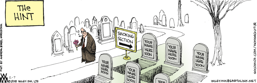 Non Sequitur Comic Strip for February 07, 2018 