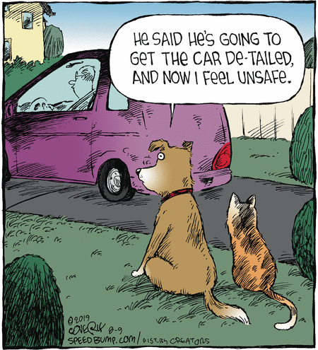 Speed Bump Comic Strip for August 09, 2019 