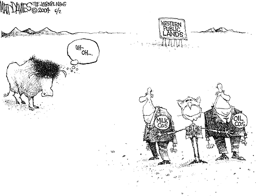 Matt Davies Comic Strip for June 01, 2004 
