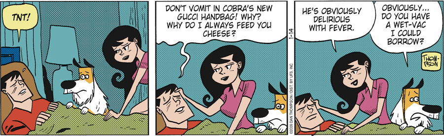 Rip Haywire Comic Strip for January 14, 2009 