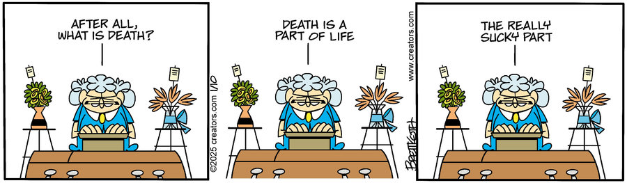 Diamond Lil Comic Strip for January 10, 2025 