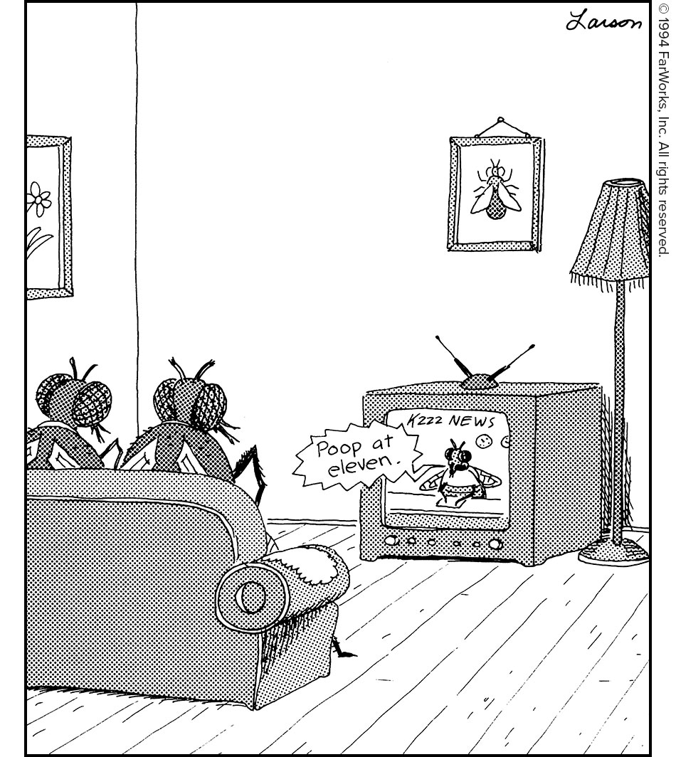 Poop at eleven. / KZZZ News