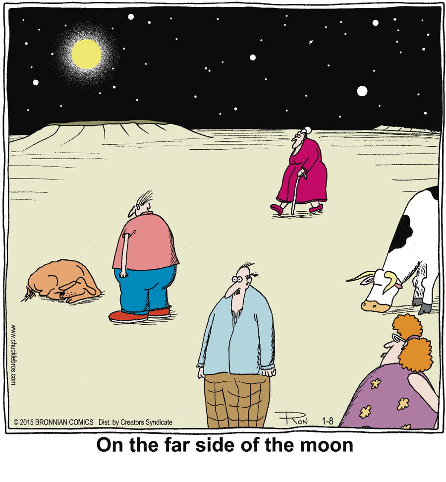 Chuckle Bros Comic Strip for January 08, 2015 