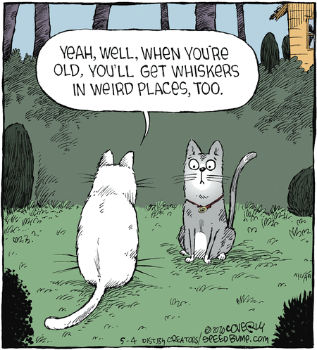 Speed Bump Comic Strip for May 04, 2020 