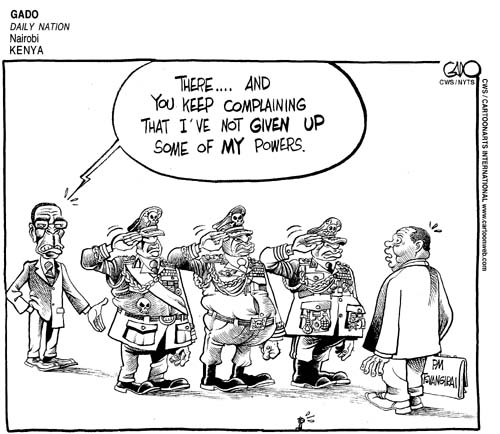 ViewsAfrica Comic Strip for August 20, 2009 