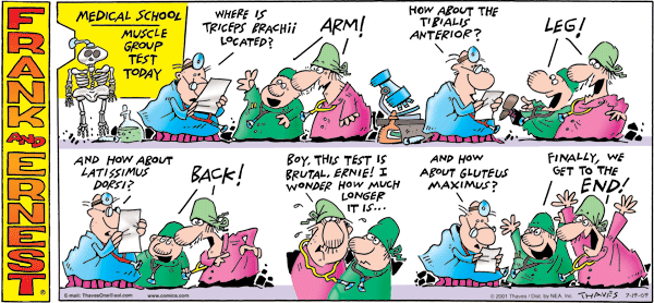 Frank and Ernest Comic Strip for July 19, 2009 