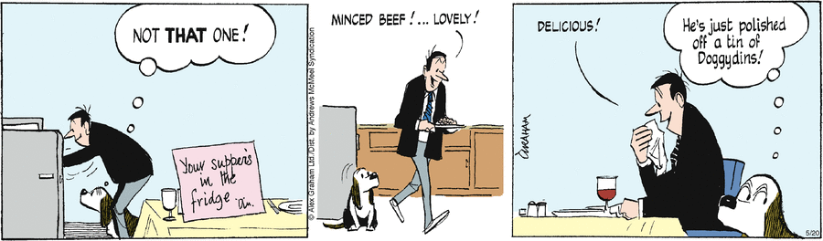 Fred Basset Comic Strip for May 20, 2024 