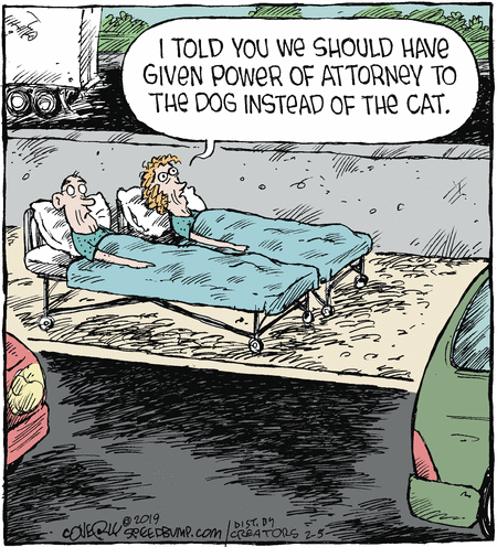 Speed Bump Comic Strip for February 05, 2019 