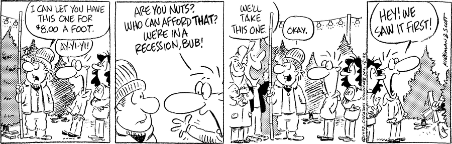 Baby Blues Comic Strip for December 22, 1992 