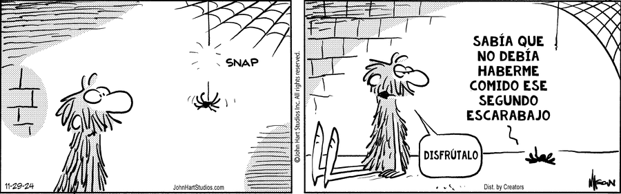 The Wizard of Id - Spanish Comic Strip for November 29, 2024 