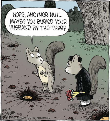 Speed Bump Comic Strip for May 08, 2020 