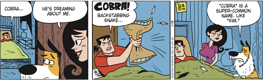 Rip Haywire Comic Strip for January 19, 2009 
