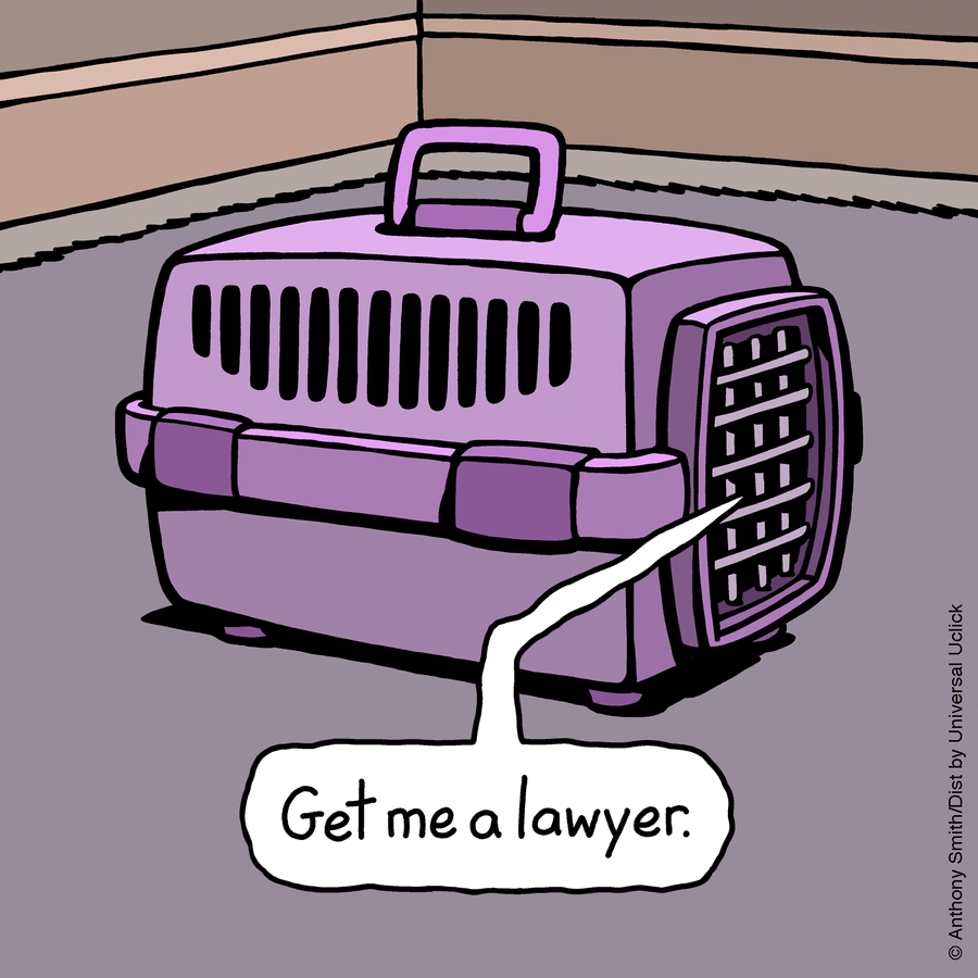 Cattitude — Doggonit Comic Strip for January 09, 2025 