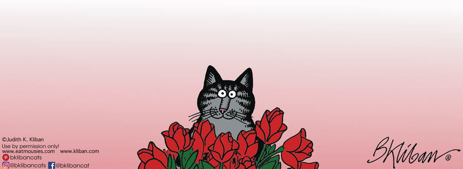 Kliban's Cats Comic Strip for February 13, 2025 