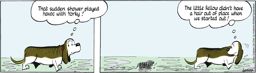 Fred Basset Comic Strip for January 14, 2025 