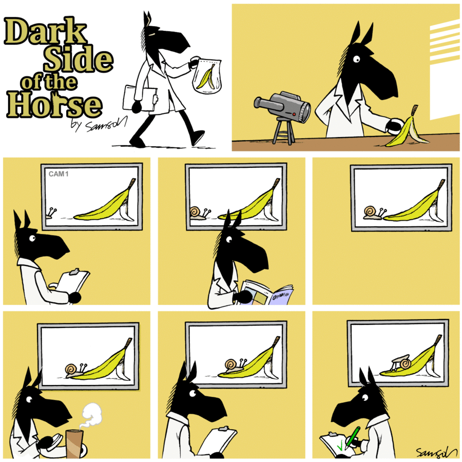 Dark Side of the Horse Comic Strip for April 17, 2019 