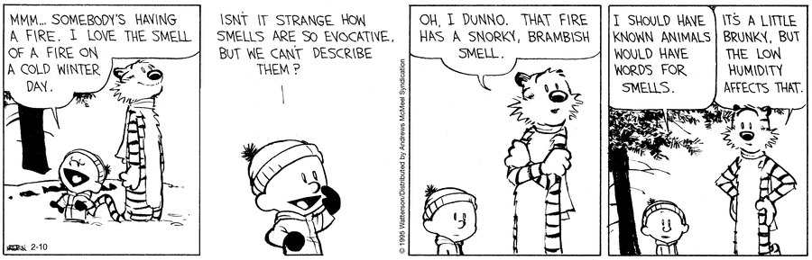 Calvin and Hobbes Comic Strip for February 10, 2025 