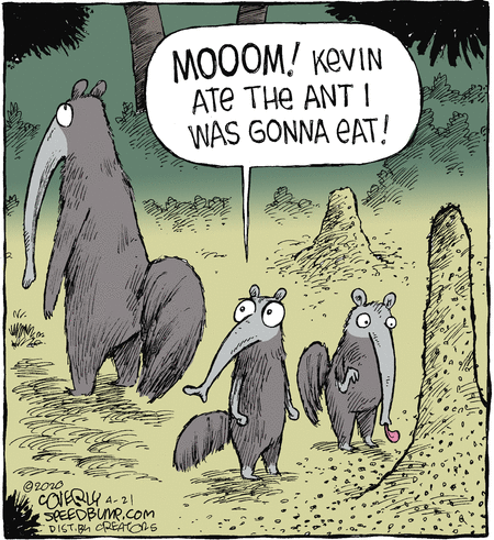 Speed Bump Comic Strip for April 21, 2020 