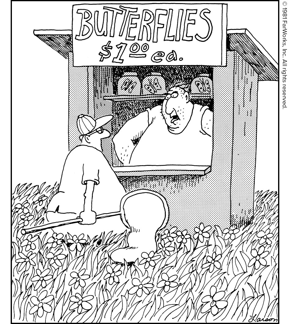 BUTTERFLIES $100 ea.