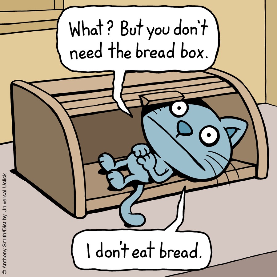 Cattitude — Doggonit Comic Strip for January 12, 2025 