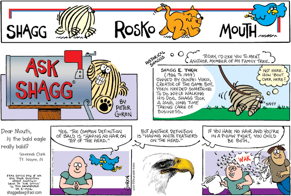 Ask Shagg Comic Strip for November 17, 2024 